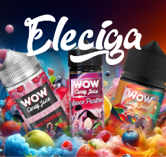 Eleciga